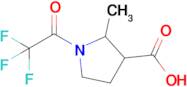 2-Methyl-1-(2,2,2-trifluoroacetyl)pyrrolidine-3-carboxylic acid