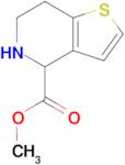 Methyl 4,5,6,7-tetrahydrothieno[3,2-c]pyridine-4-carboxylate