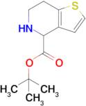 Tert-butyl 4,5,6,7-tetrahydrothieno[3,2-c]pyridine-4-carboxylate