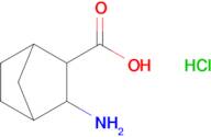 3-Aminobicyclo[2.2.1]heptane-2-carboxylic acid hydrochloride