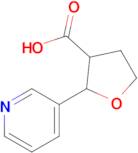 2-(Pyridin-3-yl)tetrahydrofuran-3-carboxylic acid