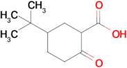 5-(Tert-butyl)-2-oxocyclohexane-1-carboxylic acid