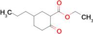 Ethyl 2-oxo-5-propylcyclohexane-1-carboxylate