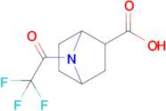 7-(2,2,2-Trifluoroacetyl)-7-azabicyclo[2.2.1]heptane-2-carboxylic acid