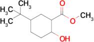 Methyl 5-(tert-butyl)-2-hydroxycyclohexane-1-carboxylate