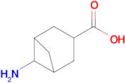 6-Aminobicyclo[3.1.1]heptane-3-carboxylic acid