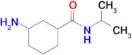 3-Amino-N-isopropylcyclohexane-1-carboxamide