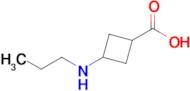 3-(Propylamino)cyclobutane-1-carboxylic acid