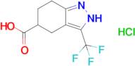 3-(trifluoromethyl)-4,5,6,7-tetrahydro-2H-indazole-5-carboxylic acid hydrochloride