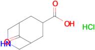 9-Oxo-3-azabicyclo[3.3.1]nonane-7-carboxylic acid hydrochloride