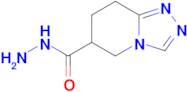 5,6,7,8-Tetrahydro-[1,2,4]triazolo[4,3-a]pyridine-6-carbohydrazide