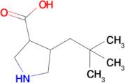 4-Neopentylpyrrolidine-3-carboxylic acid