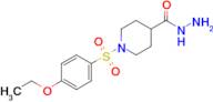 1-((4-Ethoxyphenyl)sulfonyl)piperidine-4-carbohydrazide