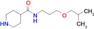 n-(3-Isobutoxypropyl)piperidine-4-carboxamide