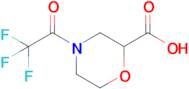 4-(2,2,2-Trifluoroacetyl)morpholine-2-carboxylic acid