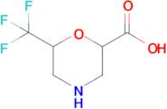 6-(Trifluoromethyl)morpholine-2-carboxylic acid