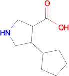 4-Cyclopentylpyrrolidine-3-carboxylic acid