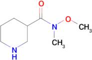 n-Methoxy-N-methylpiperidine-3-carboxamide