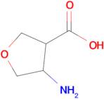 4-Aminotetrahydrofuran-3-carboxylic acid