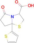 5-Oxo-7a-(thiophen-2-yl)hexahydropyrrolo[2,1-b]thiazole-3-carboxylic acid