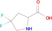 4,4-Difluoropyrrolidine-2-carboxylic acid