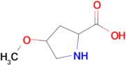 4-Methoxypyrrolidine-2-carboxylic acid