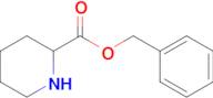 Benzyl piperidine-2-carboxylate