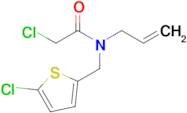 n-Allyl-2-chloro-N-((5-chlorothiophen-2-yl)methyl)acetamide