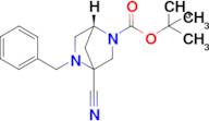 Tert-butyl (1r)-5-benzyl-4-cyano-2,5-diazabicyclo[2.2.1]heptane-2-carboxylate