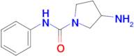 3-Amino-N-phenylpyrrolidine-1-carboxamide