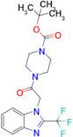 Tert-butyl 4-(2-(2-(trifluoromethyl)-1h-benzo[d]imidazol-1-yl)acetyl)piperazine-1-carboxylate