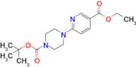 Tert-butyl 4-(5-(ethoxycarbonyl)pyridin-2-yl)piperazine-1-carboxylate