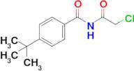 4-(Tert-butyl)-N-(2-chloroacetyl)benzamide