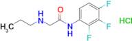 2-(Propylamino)-N-(2,3,4-trifluorophenyl)acetamide hydrochloride