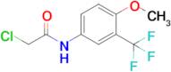 2-Chloro-N-(4-methoxy-3-(trifluoromethyl)phenyl)acetamide