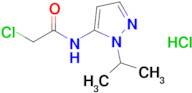 2-Chloro-N-(1-isopropyl-1h-pyrazol-5-yl)acetamide hydrochloride