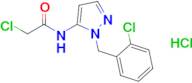 2-Chloro-N-(1-(2-chlorobenzyl)-1h-pyrazol-5-yl)acetamide hydrochloride