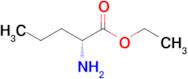 Ethyl (R)-2-aminopentanoate