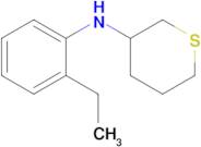 n-(2-Ethylphenyl)tetrahydro-2h-thiopyran-3-amine