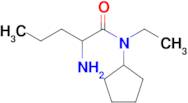 2-Amino-N-cyclopentyl-N-ethylpentanamide