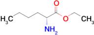 Ethyl (R)-2-aminohexanoate