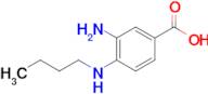 3-Amino-4-(butylamino)benzoic acid