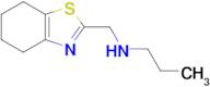 n-((4,5,6,7-Tetrahydrobenzo[d]thiazol-2-yl)methyl)propan-1-amine