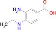 3-Amino-4-(ethylamino)benzoic acid