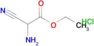 Ethyl 2-amino-2-cyanoacetate hydrochloride