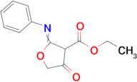 ethyl 4-oxo-2-(phenylimino)oxolane-3-carboxylate