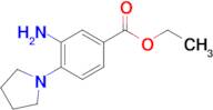 Ethyl 3-amino-4-(pyrrolidin-1-yl)benzoate