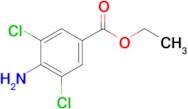 Ethyl 4-amino-3,5-dichlorobenzoate