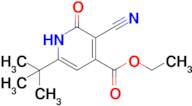 ethyl 6-tert-butyl-3-cyano-2-oxo-1,2-dihydropyridine-4-carboxylate