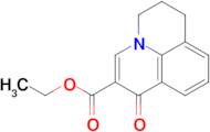 Ethyl 1-oxo-6,7-dihydro-1h,5h-pyrido[3,2,1-ij]quinoline-2-carboxylate